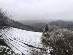 -敬亭山风景名胜区