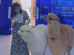 -Blue Concept Cafe&Farm·關於藍