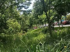 -天目湖涵田度假村