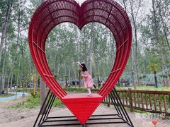 -合肥滨湖国家森林公园