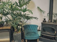 -植觉
