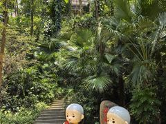 -深圳国际园林花卉博览园