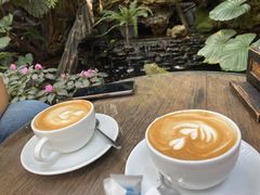 -Fern Forest Cafe