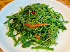 清炒丝瓜苗-一坐一忘云南菜(三里屯店)