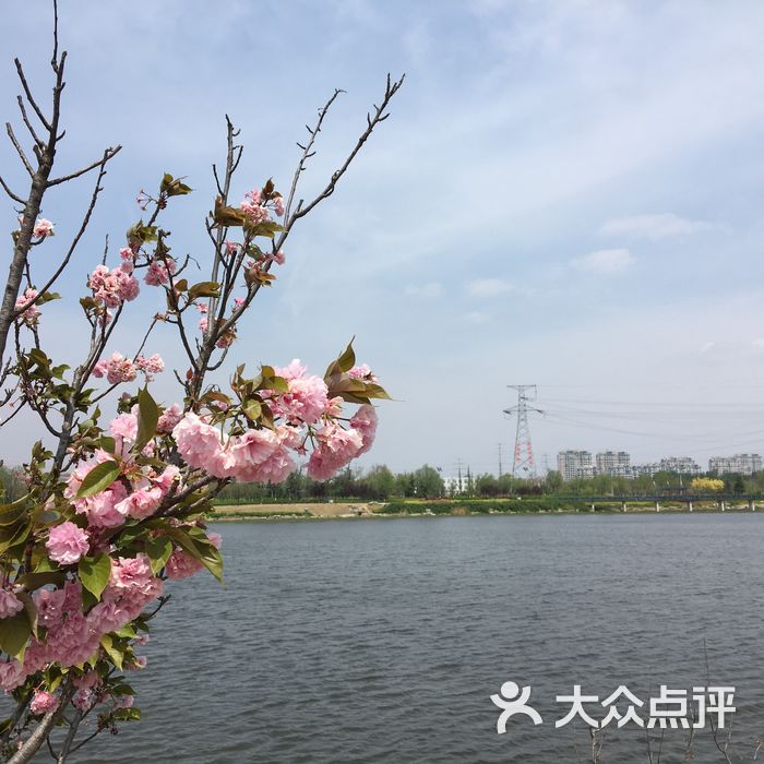 白沙河运动公园