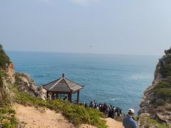-杨梅坑