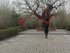 -沈阳鸟岛