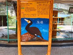 -海合安武汉极地海洋公园