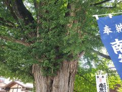 -医王山·飞騨国分寺