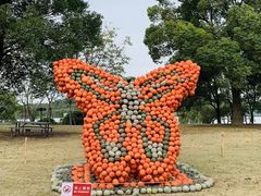 -上海月湖雕塑公园