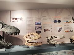 -自贡恐龙博物馆