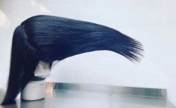 -Coo Hair salon