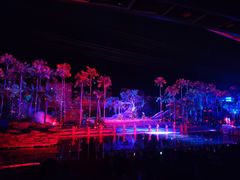 -三亚红色娘子军演艺公园景区