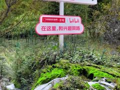 -鹿院坪生态旅游景区