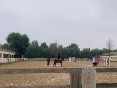 -北京群众马术培训基地
