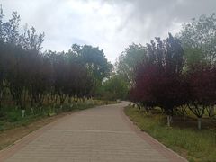 -新东方烹饪学校(朝阳校区)