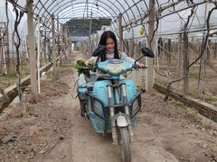 -美家乐农庄·露营·团建(大治路店)