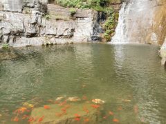 -十渡东湖港风景区