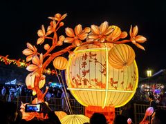 -慈城古县城景区