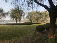 -东华大学(松江校区)