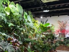 -自由生长植物工作室(深港花卉中心店)