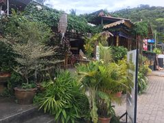 -Jungle Kitchen