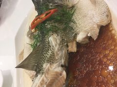 -至潮餐厅精致粤菜·活鲈鱼·走地鸡(珠江新城店)