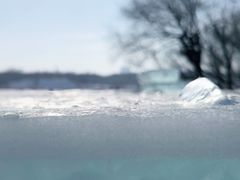 -长春市南湖公园