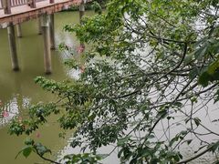 -广东花都湖国家湿地公园