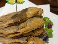 -尚宴(盛世广场·食尚街店)