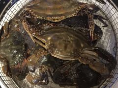 -海味当家(西安路店)