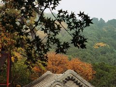 -香山公园