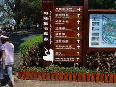 -大湾区中央湿地公园