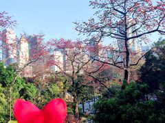 -广州中山纪念堂