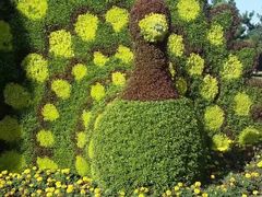 -石家庄市植物园