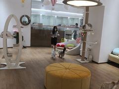 -1013 PET SHOP精品宠物商店(丁香店)