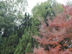 -岳麓山风景名胜区