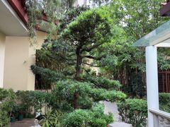 -小榄人家酒楼(民安店)