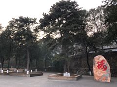 -北京鹫峰国家森林公园