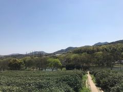 -中国茶叶博物馆(双峰馆区)