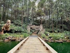 -佛冈森波拉度假区