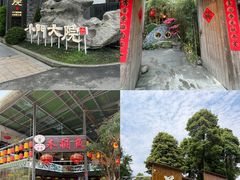 -青城山