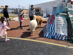 -Blue Concept Cafe&Farm·關於藍