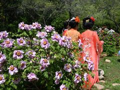-洛阳市隋唐城遗址植物园