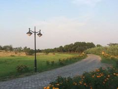 -渔娘蟹庄(阳澄湖莲花岛店)