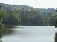 -西樵山风景名胜区-天湖公园