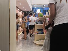 -钦宠·猫咪售卖·洗护·寄养(东圃旗舰店)