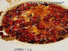 -椒爱水煮鱼川菜(CBD万达店)