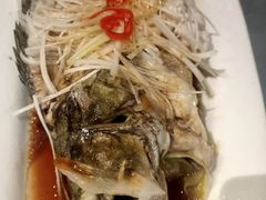 葱油鲑鱼-老牌坊鲁菜名店(美莲广场店)
