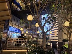 -桂满陇·海市蜃楼·黑金(国金店)